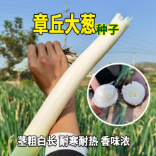 ���r���[�N�� �߿���������ɽ�|������[ԭ�N �F�U���L���[��