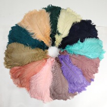 ���l�r�Bë30-35cm��c·�������[����Y�b͏d�[�O�r�B��ë