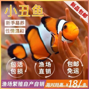 �~�^�p�~С��ӡ��ѩС���~��ĪС���~�����˹�����ںں�ˮ�����~