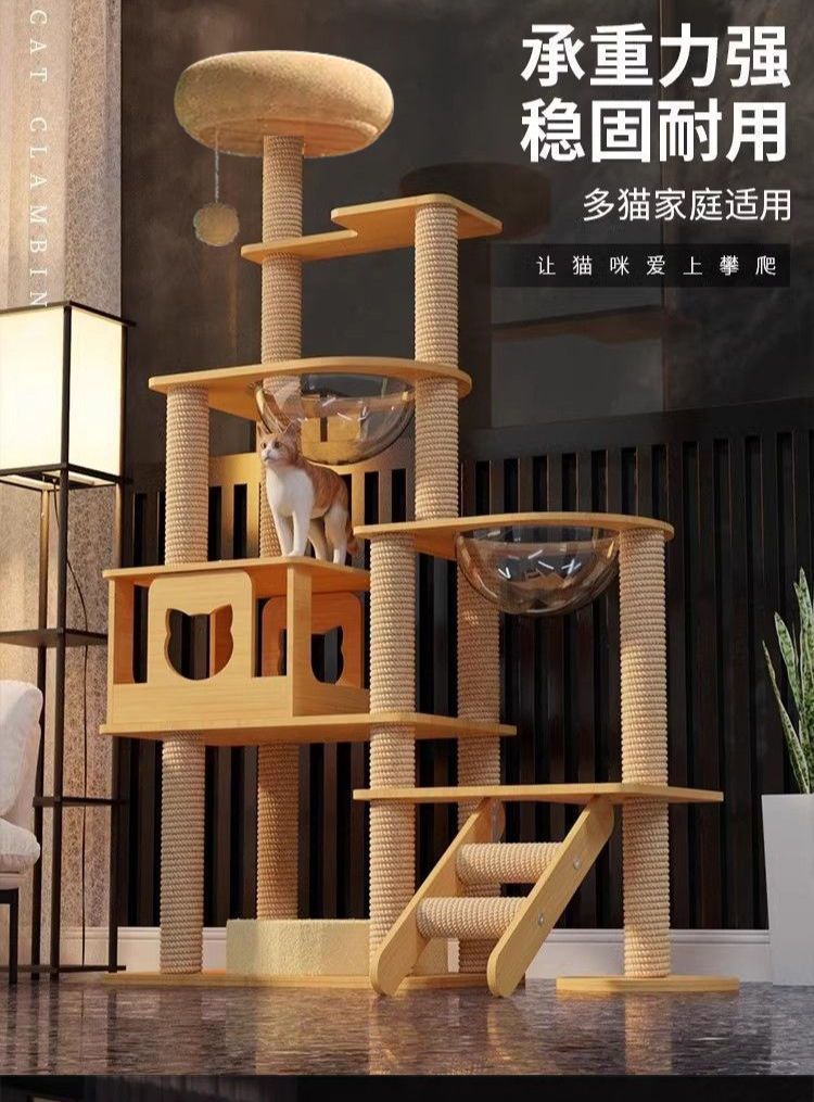 68e22b74-c688-4f0c-be40-ece3c64ffc92.jpe