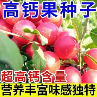 �W���}���N�Ӹ��}���N���ͺ��}���W��N��ˮ���̨СԺ�ļ��N