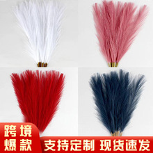 �羳��Y�b�����˹��55cm ���W�����ׁ�������������Ȕ�����JȔ