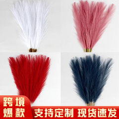 クロスボーダー结婚式装饰パンパス草55cm北欧ボヘミアン永生花人工蒲葦シミュレーション葦