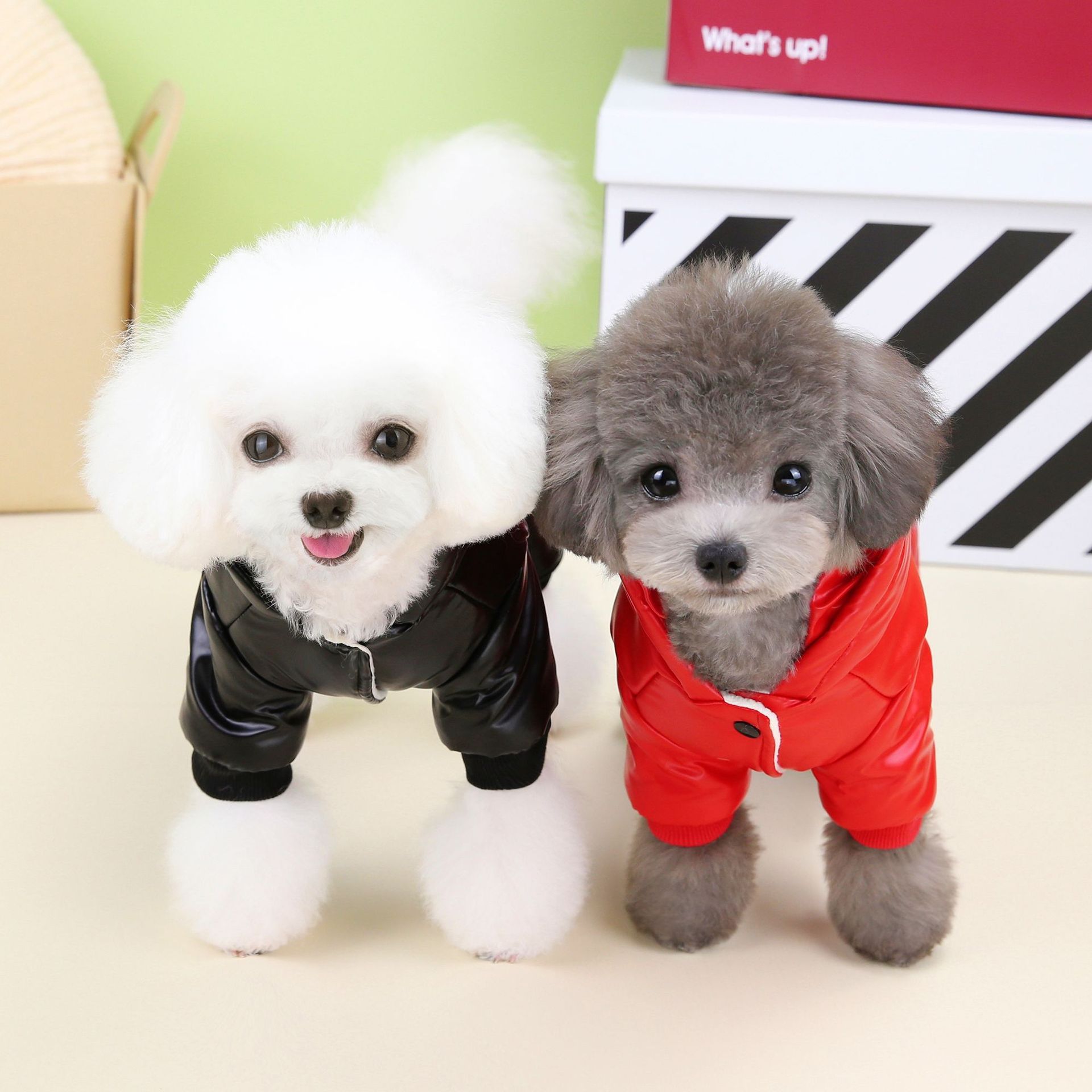 Ropa para perros Otoño e Invierno nueva ropa para mascotas Ropa para mascotas de peluche invierno engrosada 23 ropa de tres colores de cuatro patas acolchada de algodón