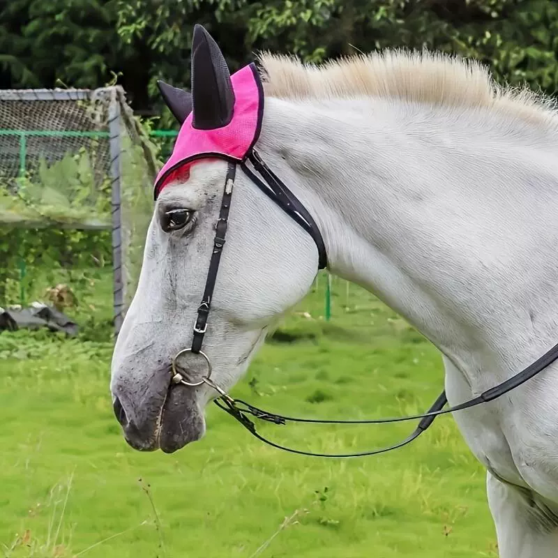 Фабрика прямых продаж конского снаряда для конного спорта