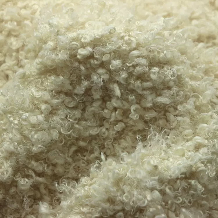 仿羊卷毛羊驼绒喷花纬编长毛绒土耳其绒滚束绒泰迪大羊圈绒布面料