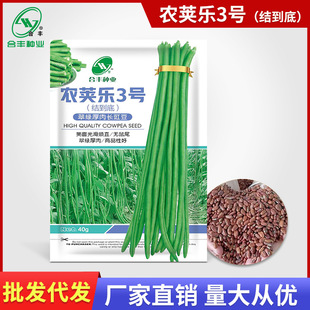 �r�v��2̖�����N��30g���S�N�I���ǷN����Ʒ�N�L���ǷN�ӏS�����l