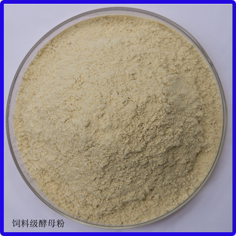 饲料级酵母粉  蛋白50%左右 饲料添加剂