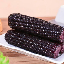 �SŴ������Ŵ�������ʳ���r�aƷ�Ŵ���״���������SŴ����