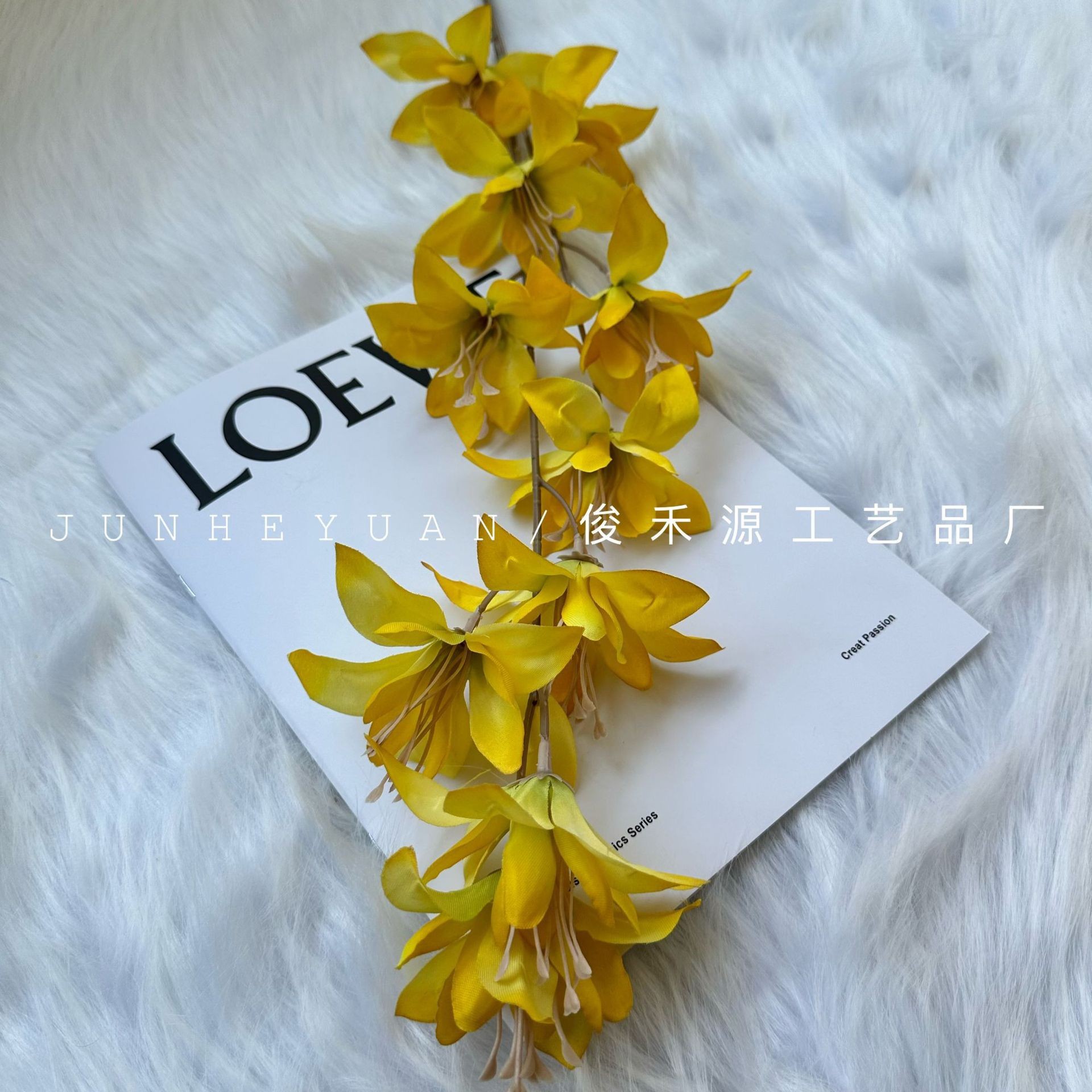 바람과 비 난초