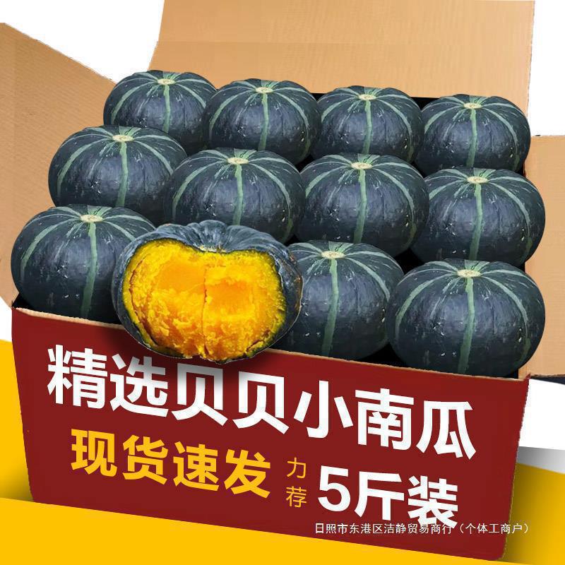 Wholesale Free Shipping Pumpkin Flavor 53 Vegetable Chestnut Mini Pumpkin Fresh Baby Food Supplement Beibei Pumpkin All Year Round