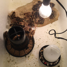 С�u���ˮ���Ԅ��ˮ�� �u���Ͱ����Ͱ ���r���؟����� �_����