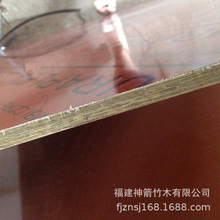 z·FĤ⻬ƽRЧú񱡾