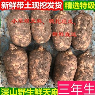 �����ͨС�݉�Ұ������F���r�����Ұ�����鶬���������]