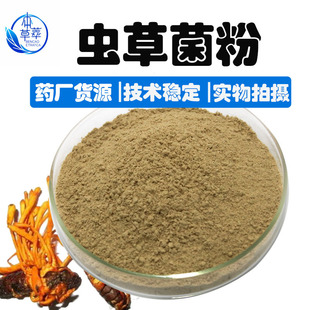 �l���x�ݾ��z��99%CS4���x�������x����ȡ�������M��ù���F؛