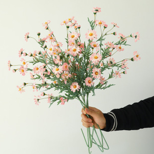 ��֦�������ʾռٻ����ϻ����滨С�r�ռҾӻ�c�b[���߼���