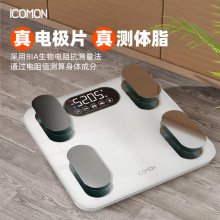 R{w֬ С͸߾׼ӳӜy֬w֬Qʽ