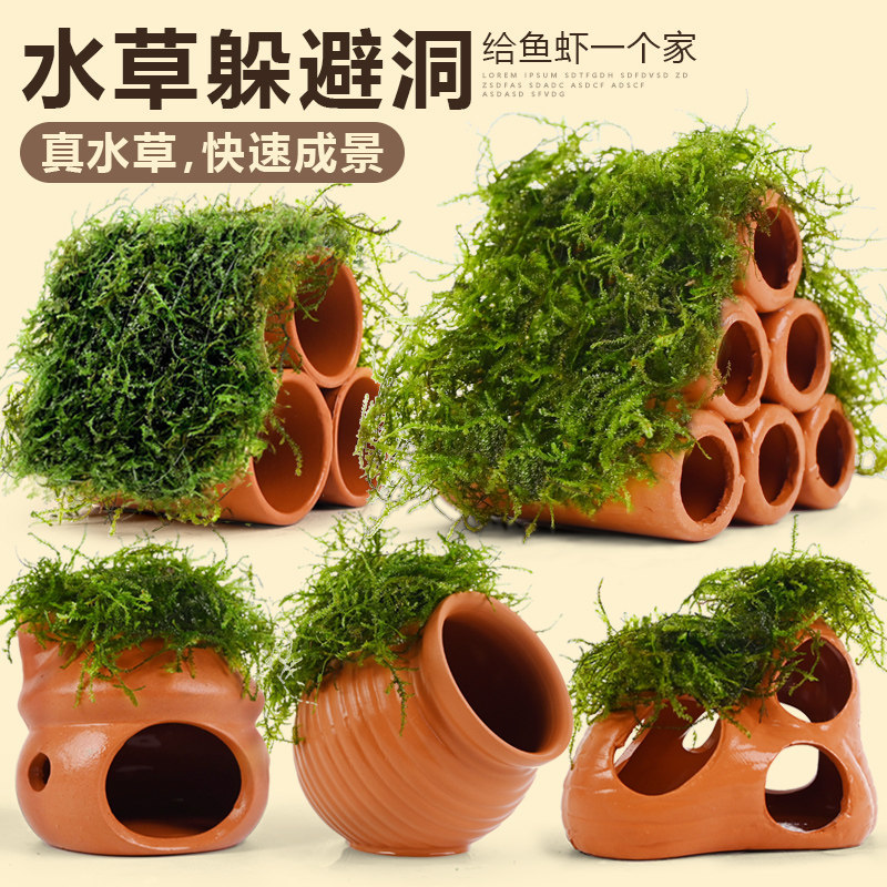 鱼缸造景摆件水草植物全套餐装饰懒人陶罐水榕装饰品小鱼虾躲避屋