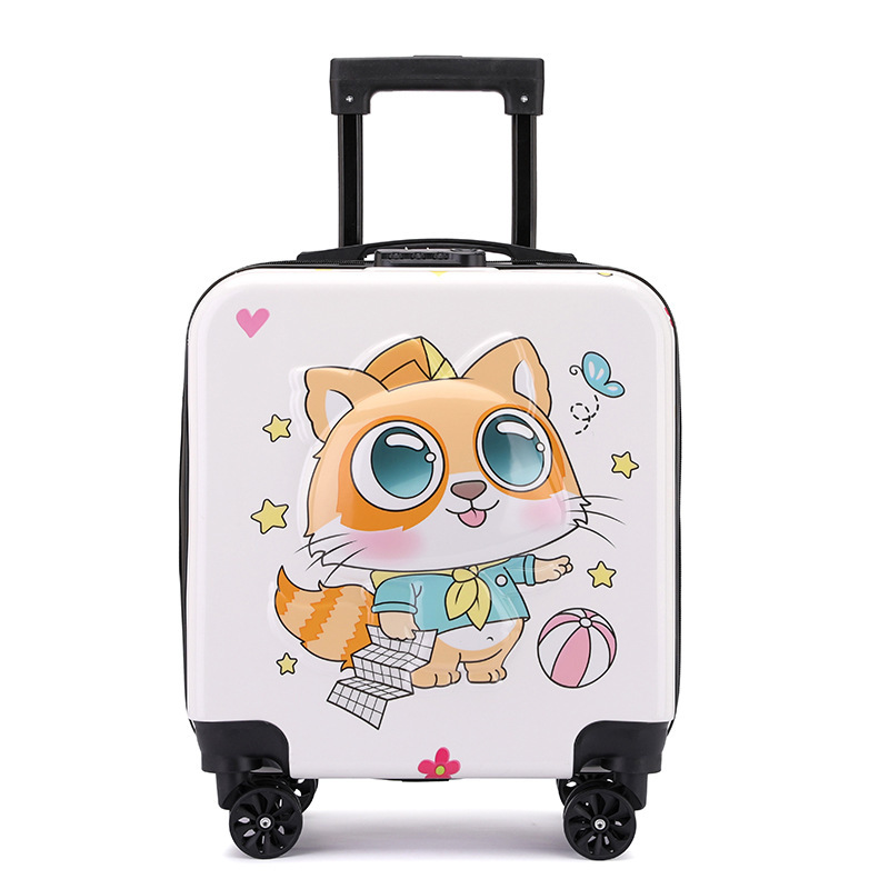 흰색 아기 고양이