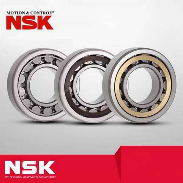 NSK轴承RN 303 304 305 306 307 308 309 310 311 312/EM/EW/ET/3