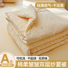 夏凉被a类母婴级双层纱夏被可裸睡超柔软机洗空调被礼品夏季被芯3