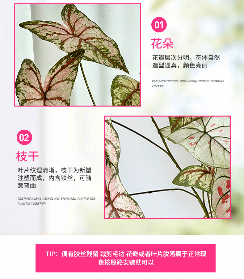 龙宇宇龙详情_08