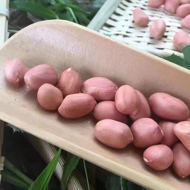 24年新鲜饱满白沙花生米大白沙新货白皮生花生米农家大粒花生仁|undefined