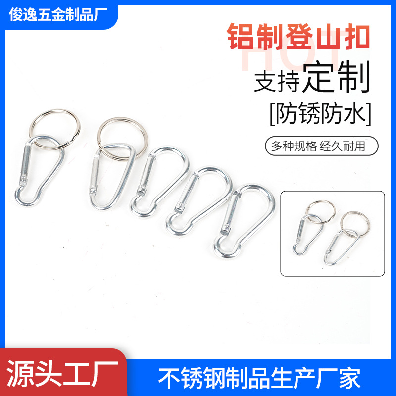 Manufacturer Wholesale D-Shaped Aluminum Carabiner with Loop Outdoor Quick-Release Buckle Carabiner Custom Luggage Accessories