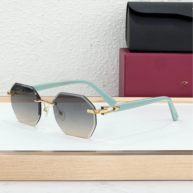 European and American Style Instagram and Xiaohongshu Trending Polygonal Sunglasses for Women, Fashionable Metal Sunglasses for Trendy Men Ct0439