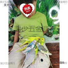 ��Ƥ�W�^���B��С�͕��fԒ�Č����B�������B���P���BС�B�B������