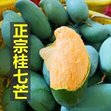 ���ڹ���â����â����â1/3/5/9�����rˮ�����]����