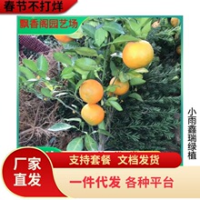 ���Ә���ɳ�ǽۘ��ĕ�ɰ�ǽۘ������ӟo�џo�˼޽ӹ�����̽���