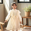 Velvet demi-season dress, knitted girl's skirt, tulle