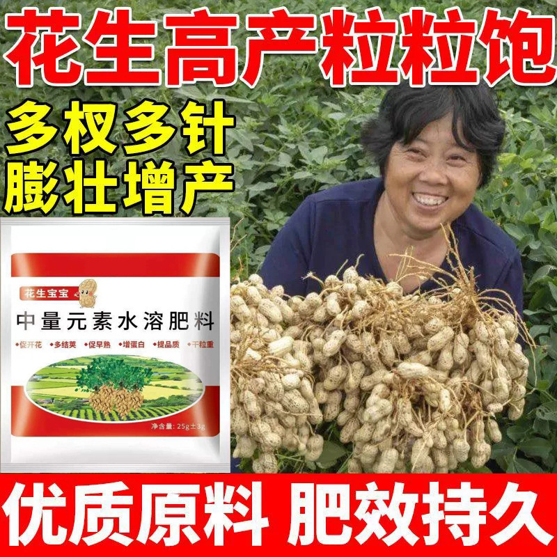本物のピーナッツの赤ちゃん粒は緑の葉が豊富で、粒は豊富で、収量を向上させ、ポリペプチドは強力な大きな果実を強化します。|undefined