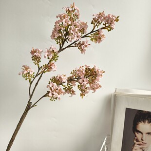 ���滨���㻨ǧ����ҾӘӰ��g��c�[�Ż�ˇ�͏d�b廨�ٻ����l