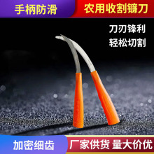 割禾除草廉刀不锈钢镰刀割草刀农用锯齿镰刀加密细齿小禾镰韭菜刀