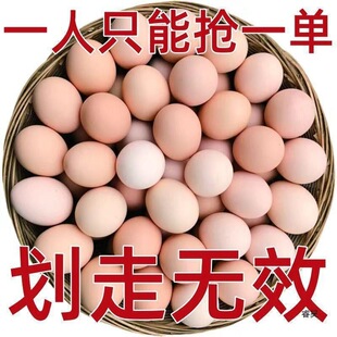 �r�Ұ��]ɢ�B���u�����u�����u���r����uɢ�B���r���u������