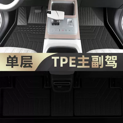 Universal Foot Pad: 2024 Original Main Driving Carpet - original-tpe-front-floor-mats-qiyuan-q05single-layer-seriesspecial