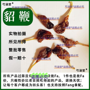 ������ș��������؛��N���������a�ݾ������ۺ�����ñ��i��ţ��