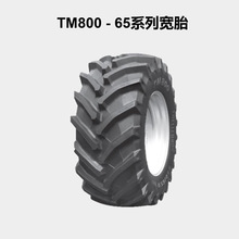 �S�����l ����ϵ�� TM800 - 65ϵ�Ќ�̥ ���R��ɽ��܇݆̥