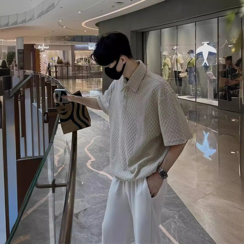 Summer Textured Polo Shirt for Men, Short Sleeve, Loose and Simple, Solid Color Printed T-Shirt Top