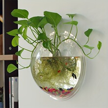 Z 36557 Wall-mounted flower pot decor �ڹһ���ǽ��װ��