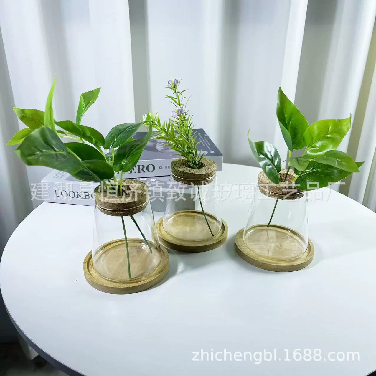 水培植物生态瓶水养花盆器皿绿萝文竹摆件微景观批发玻璃花瓶