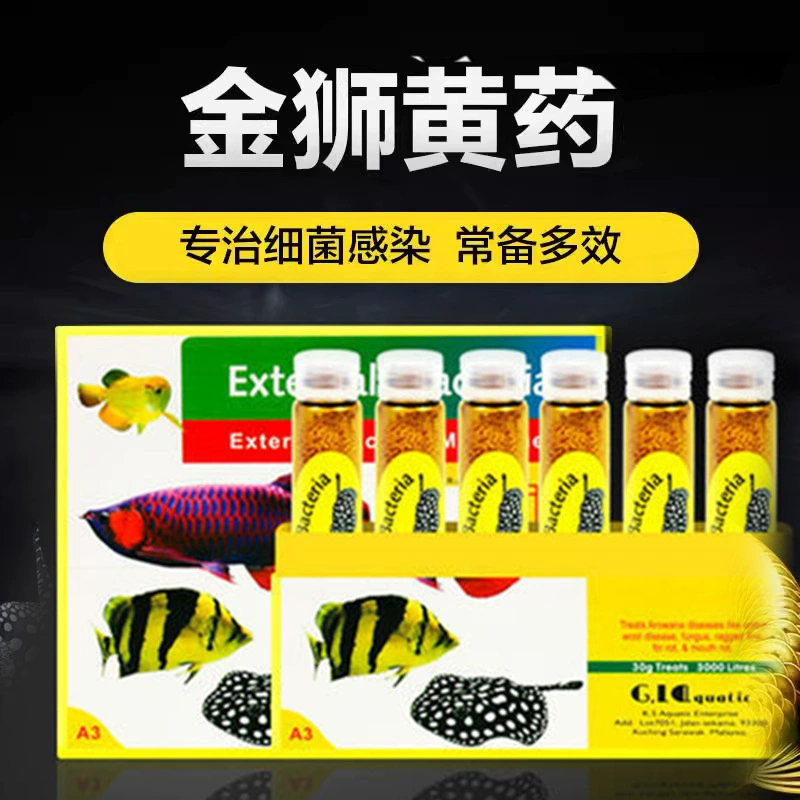 Золотого льва желтая рыбная мука лекарство от гнилого мяса универсальный препарат для лечения бактерицидных кои