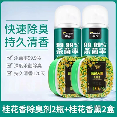Car interior deodorant deodorant car odor purifier car biocide air conditioning air freshener