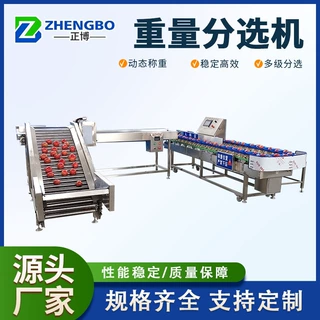 定做水果重量分选机 芒果重量分选机选果机 山竹称重分选机