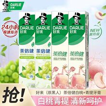 好来（原黑人）牙膏茶倍健初萃茶青提果味160g家庭装多规格批发