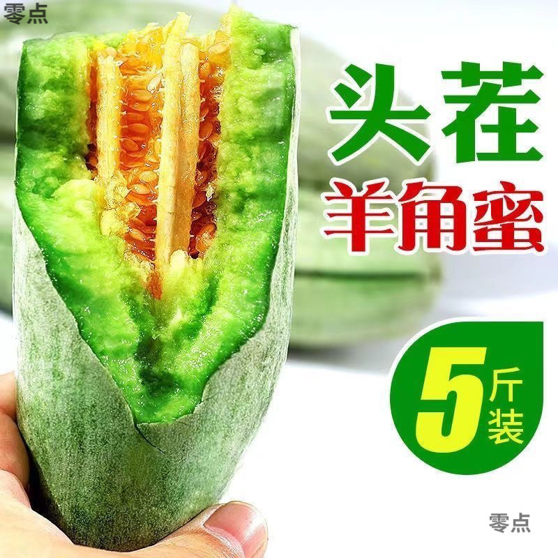 Shandong authentic freshly picked horn melon first harvest sweet melon fresh fruit seasonal melon for pregnant women cantaloupe wholesale free shipping