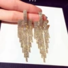 Shiny earrings, style