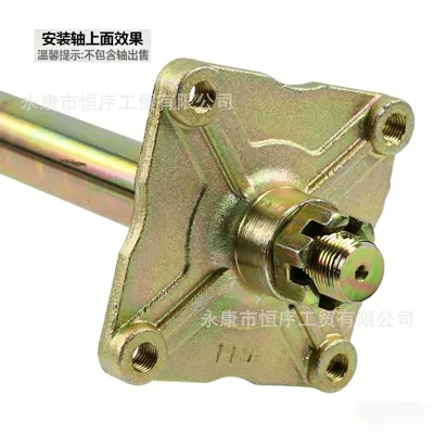 Hub Mount, Motorcycle frame